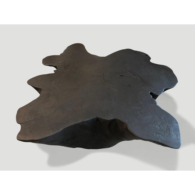 2010s Andrianna Shamaris Sculptural Charred Coffee Table For Sale - Image 5 of 6