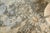 Exquisite Rugs Essex Hand-Knotted New Zealand Wool Brown/Ivory/Rust Rug-8'X10' For Sale - Image 9 of 10