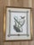 These prints are from Mark Catesby's 'The Natural History of Carolina, Florida and the Bahama Islands.' Beginning with the...