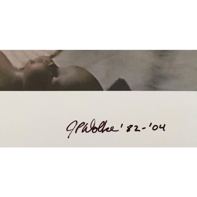 Jay Wolke lives and works in Chicago, Illinois. He has had solo exhibitions at the Art Institute of Chicago, the St. Louis...