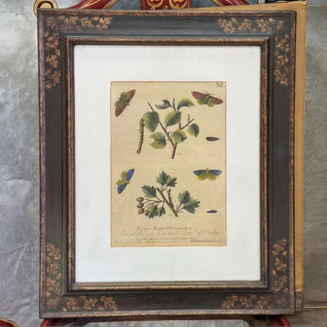 2000 - 2009 English Trowbridge Victorian Style Gilt Ebonized Framed Botanicals - S/2 For Sale - Image 5 of 7