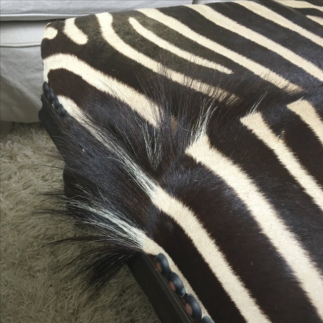 Authentic Zebra Skin Ottoman Chairish