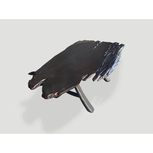 2010s Andrianna Shamaris Live Edge Ebonized Coffee Table For Sale - Image 5 of 18