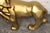 Dj Khalid Gold Lion Sculpture For Sale - Image 10 of 14