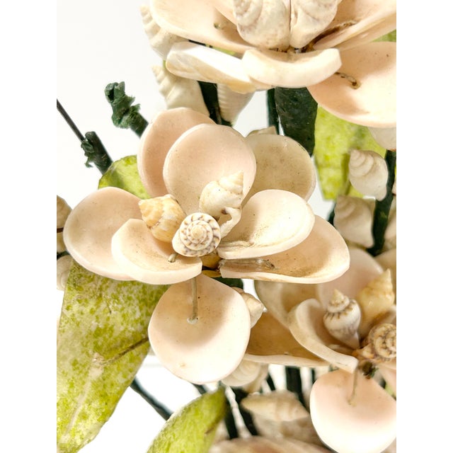 Vintage Shell Sculpture Flower Arrangement in Conch Shell Vase – Mid-Century Coastal Seashell Sculpture For Sale In Louisville - Image 6 of 11