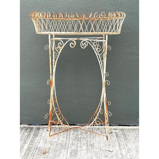 Vintage Iron Scrollwork Plant Stand For Sale - Image 4 of 12