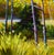 Contemporary Autumn Sensation by Michelle Condrat | Oil on board Landscape with yellow trees and grass. For Sale - Image 3 of 5