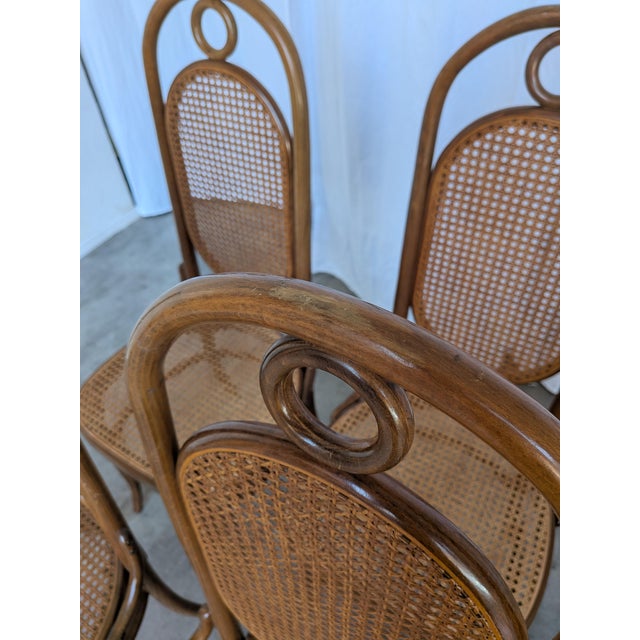 Brown Mid-Century Bentwood Cane Dining Chair, Yugoslavia, 1970s, Set of 6 For Sale - Image 8 of 18