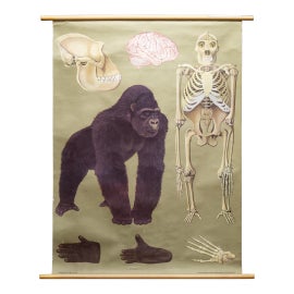 Example of Posters