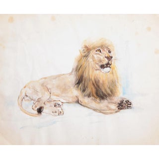 Marshall Goodman, Lion With Mane, Watercolor on Paper For Sale