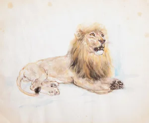 Marshall Goodman, Lion With Mane, Watercolor on Paper