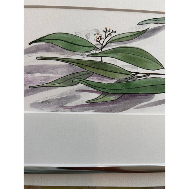 Original watercolor painting on paper of “Eucalyptus Sprig”, framed in the custom frame as shown. Approximately 12 x 8 x 1...