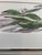 Original watercolor painting on paper of “Eucalyptus Sprig”, framed in the custom frame as shown. Approximately 12 x 8 x 1...