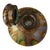Antique Widow Inkwell from Loetz, 1900 For Sale - Image 4 of 7