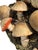 Vintage Italian Tromp l'Oeil Hand-Painted Woven Ceramic Basket of Mushrooms For Sale - Image 13 of 17