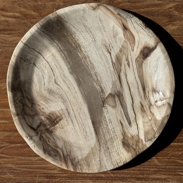 Wood Trinket Dish in White Striped Grey Petrified Wood, 1980s For Sale - Image 7 of 7