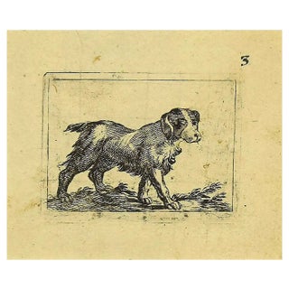 Antonio Tempesta, Dog, Etching, 1610s For Sale