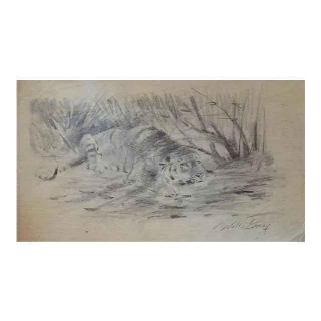 Wilhelm Lorenz - Tiger At Rest - Original Pencil - Mid-20th Century For Sale