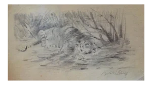 Wilhelm Lorenz - Tiger At Rest - Original Pencil - Mid-20th Century