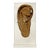 Late-Period to Ptolemaic Period Egyptian Wooden Mummy Mask Ear on Custom Mount For Sale