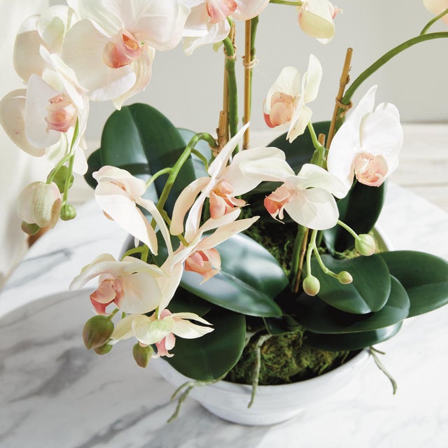 Early 21st Century Phalaenopsis Orchid Bowl Drop-In 18.5" For Sale - Image 5 of 8