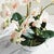 Early 21st Century Phalaenopsis Orchid Bowl Drop-In 18.5" For Sale - Image 5 of 8