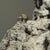1950s Rare Antique Japanese Suiseki Rock Sculpture With Miniature Houses For Sale - Image 5 of 9