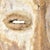 The Lega people live near the northern end of Lake Tanganyika on the banks of the Lualaba River in the DRC. They are also...