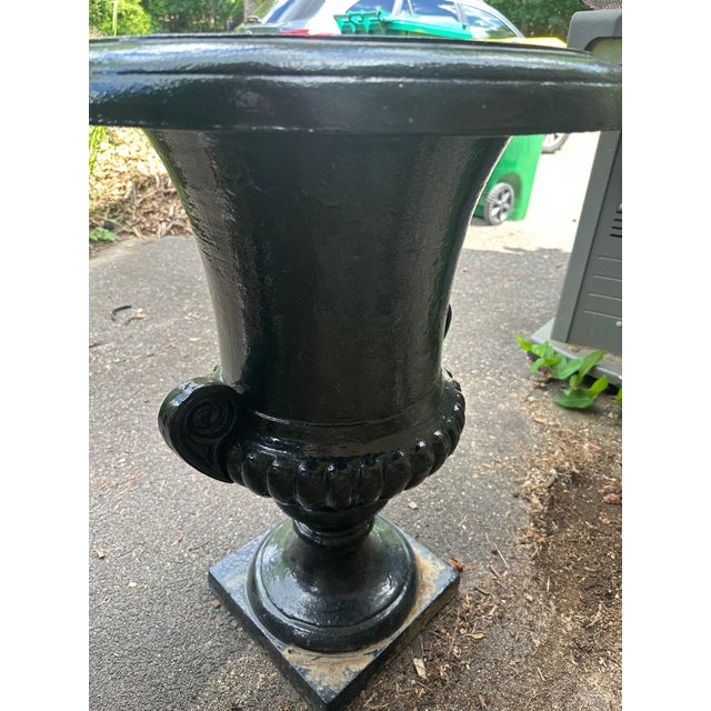 Late 20th Century Cast Iron Haddo House Urn in the Style of William Adam of Scotland For Sale - Image 10 of 14
