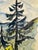 Rustic Henry Emil Salloch Original Watercolor on Paper Mountain Landscape Study, 1931. For Sale - Image 3 of 6