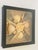 Contemporary Palm Beach Sea Shell Art Florals in Shadowbox For Sale - Image 3 of 3