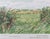 A Gap in the Hedgerow Poster after David Hockney For Sale