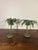 Vintage Coastal Petite Choses Palm Tree Candle Holders - Pair 1980s For Sale - Image 4 of 7