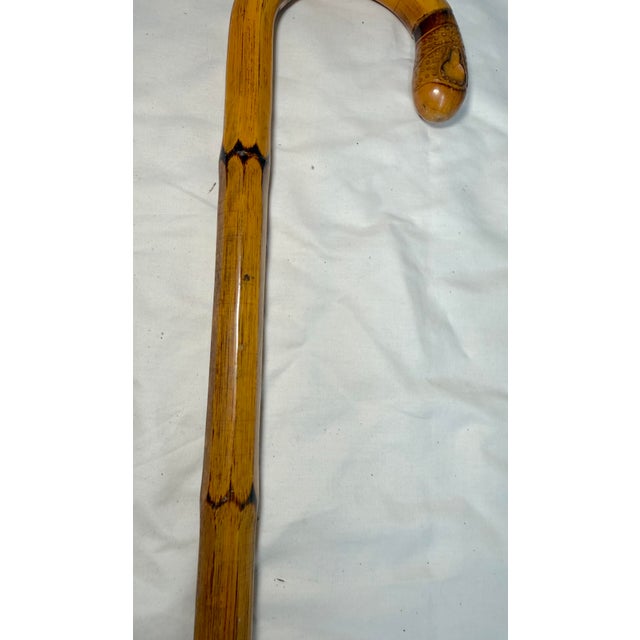 Asian Antique Asian Hand Carved Natural Bamboo Root Wood Faceted Walking Stick Cane For Sale - Image 3 of 15