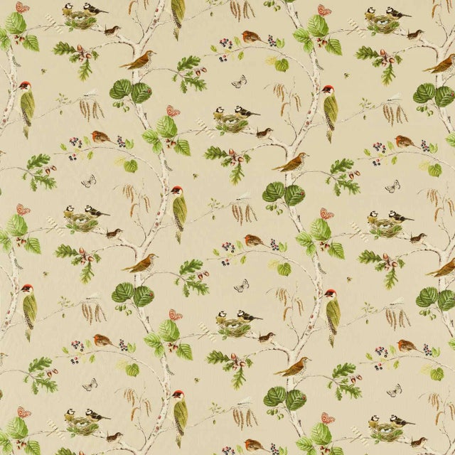Sanderson Woodland Chorus Fabric in Birch/Multi - a Sample For Sale