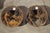 Pair of Heavy French Cast Iron Lion Building Ornaments, Circa 1900 For Sale - Image 15 of 18