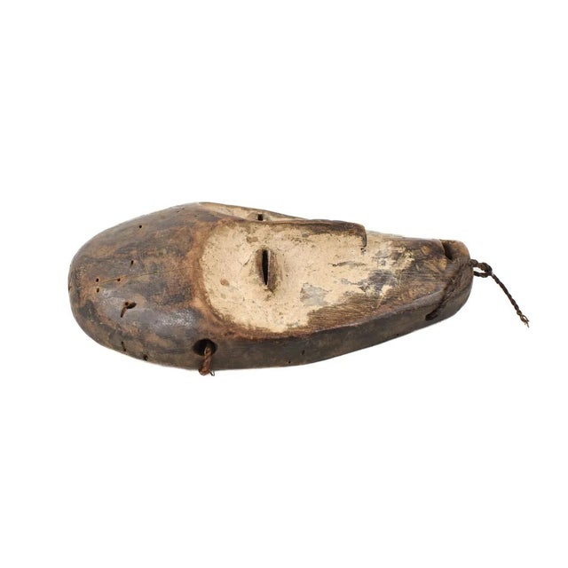 Early 20th Century Lega Bwami Society Mask For Sale - Image 4 of 7