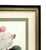 Pair of P. J. Redoute French Botanical Still Life Roses Framed Lithographs Prints Floral Flowers Pink & White For Sale In Providence - Image 6 of 8