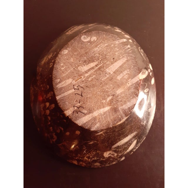 Vintage Polished Black Orthoceras and Ammonite Fossil Divided Bowl For Sale - Image 4 of 7