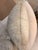 Contemporary Truett Sage & White Branch Accent Pillow For Sale - Image 3 of 3