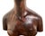 Brown Mid 20th Century Balinese Macassar Ebony Bust For Sale - Image 8 of 12