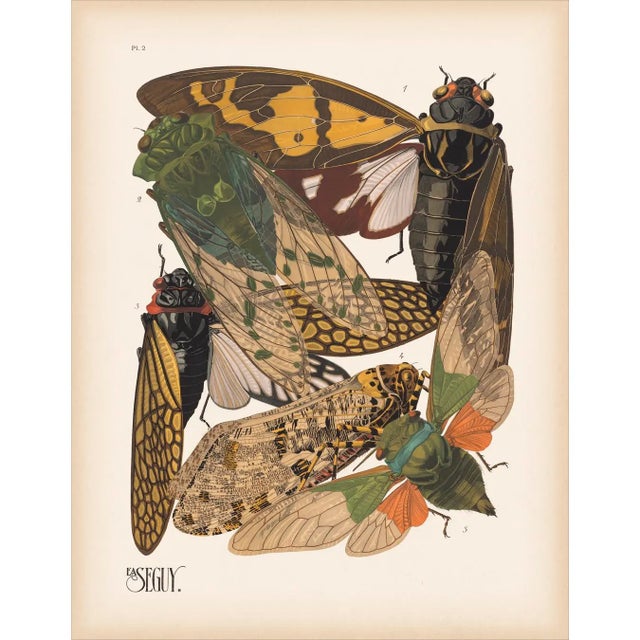 We are thrilled to present this set of exquisite Séguy Insects, available exclusively on Chairish, in the standard...