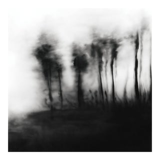 Blurred Landscape No. 5 - Original Black and White Photography | Unframed For Sale
