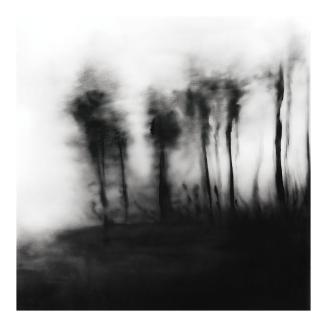Blurred Landscape No. 5 - Original Black and White Photography | Unframed For Sale