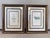 This is a pair of beautifully framed antique botanical prints, each with paperwork explaining the image, originally...