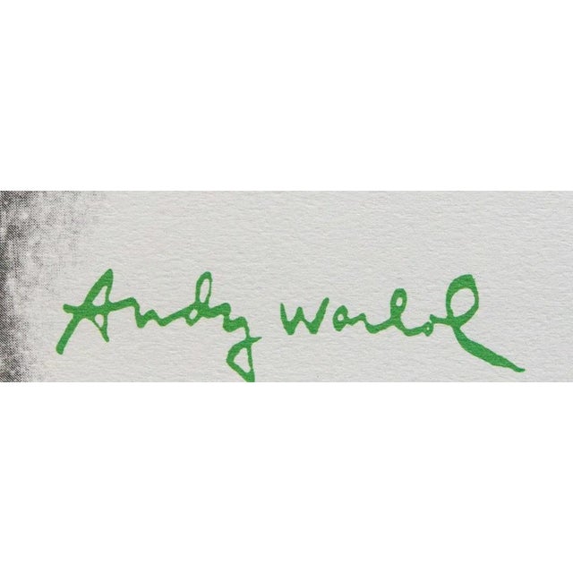 Portraiture 1986 Carnegie Museum of Art After Andy Warhol "Querelle" Lithograph For Sale - Image 3 of 6