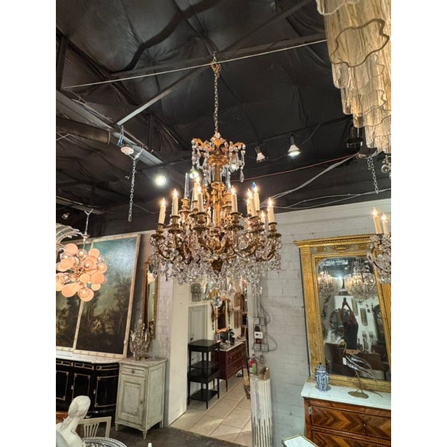 Traditional Fine 19th C. French Gilt Bronze and Crystal Chandelier For Sale - Image 3 of 9