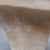 Alabaster Antique Italian Alabaster Bust, Signed Pugi — Hooded Female Figure, Late 19th / Early 20th Century For Sale - Image 8 of 9