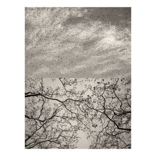 Jaume Llorens Bach, Gaia Diptych #127, Monochrome Photographic Print For Sale