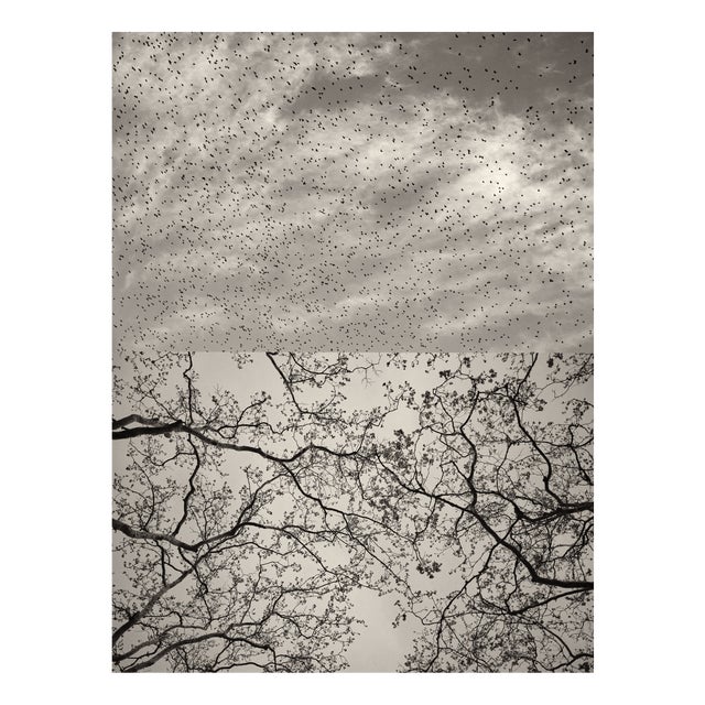 Jaume Llorens Bach, Gaia Diptych #127, Monochrome Photographic Print For Sale